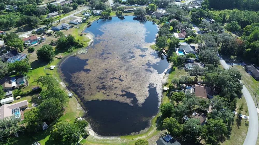 Aerial view of a completed sand shoreline restoration with a wooden dock