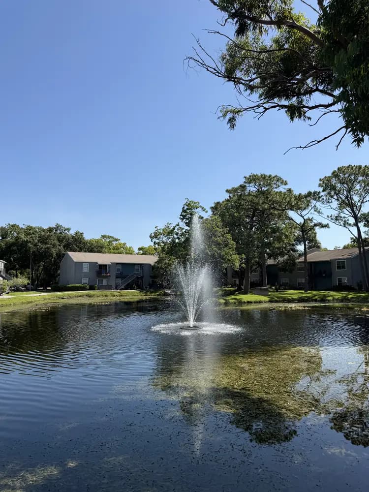 Pond fountain and aeration system running on a Florida pond
