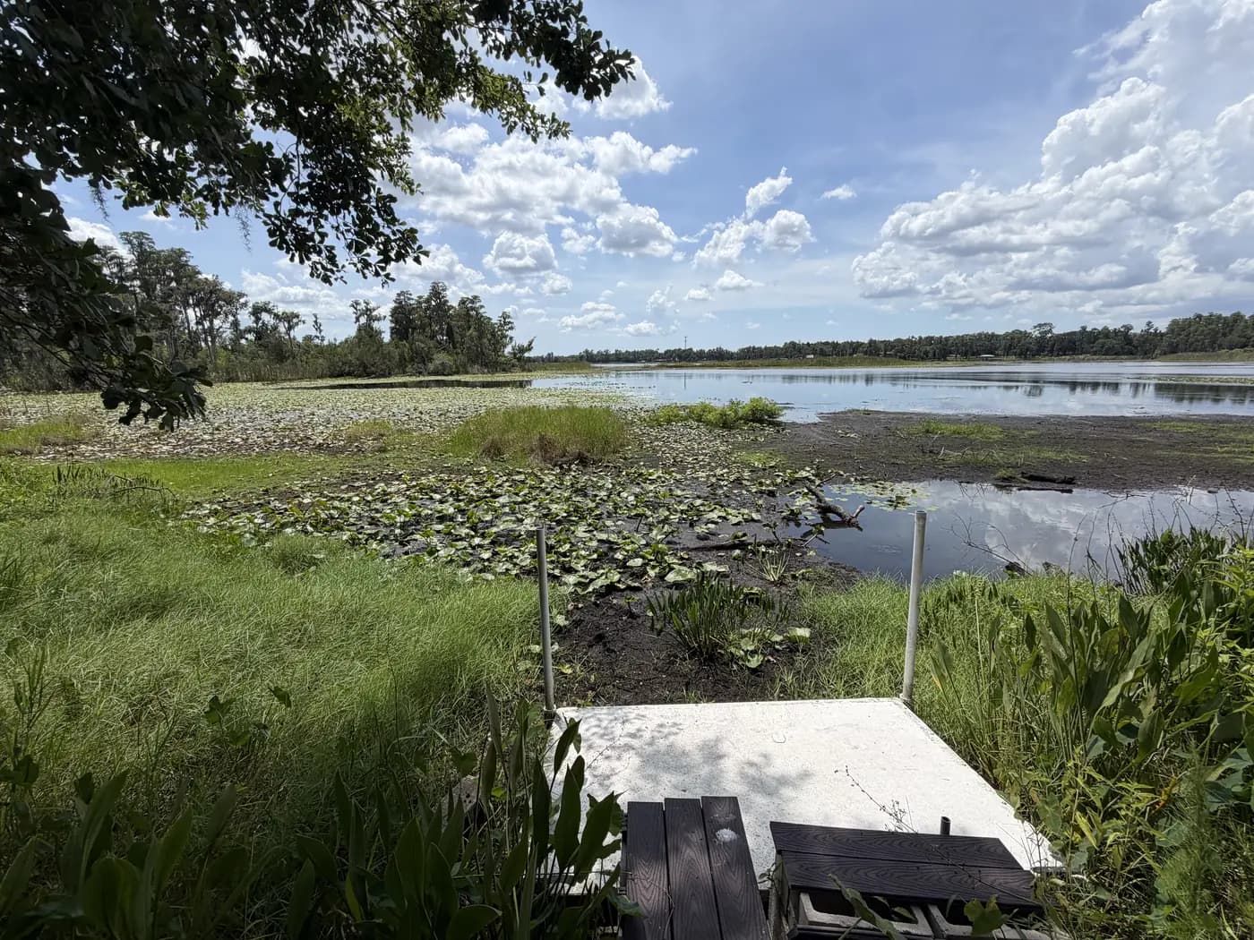 Enhanced Florida wetland habitat with native trees and open water